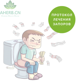 Протокол Запоры