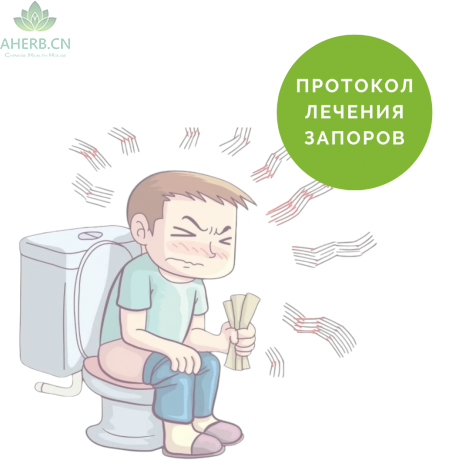 Протокол Запоры